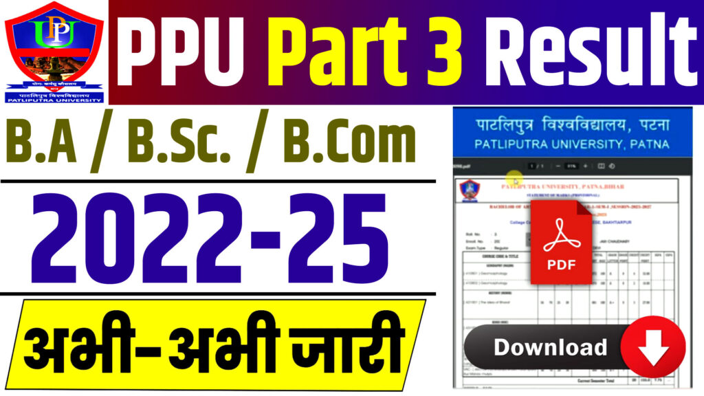 PPU Part 3 Result 2025 PDF Download