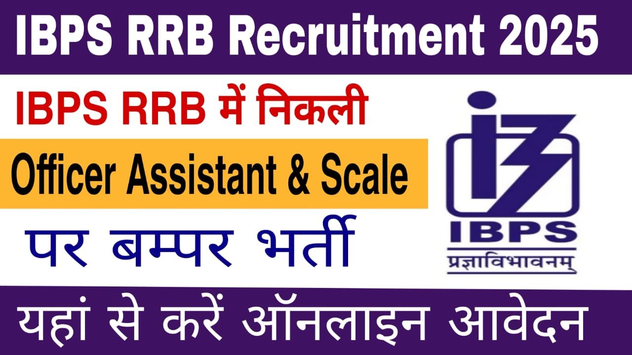 IBPS Office Assistant Recruitment 2025